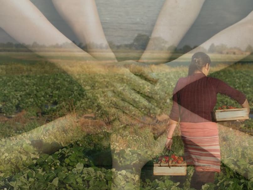 Comunidad y Compañía Unidas